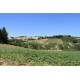 Properties for Sale_Farmhouses to restore_Farmouse le tre Cannelle in Le Marche_12